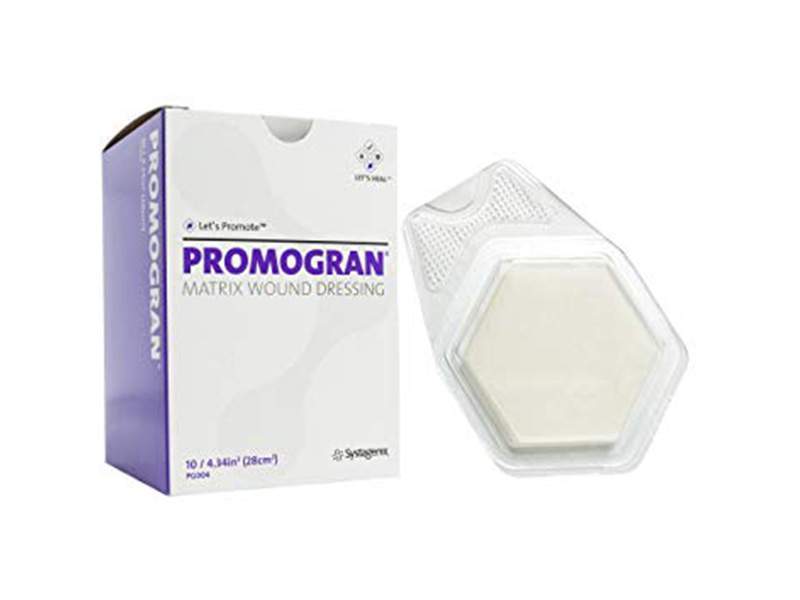 Promogran 28cm2 1x10 ks