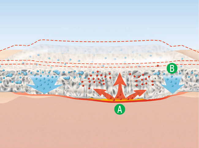 Krytí Hydrobalanční Suprasorb X - 5 x 5 cm - 5ks